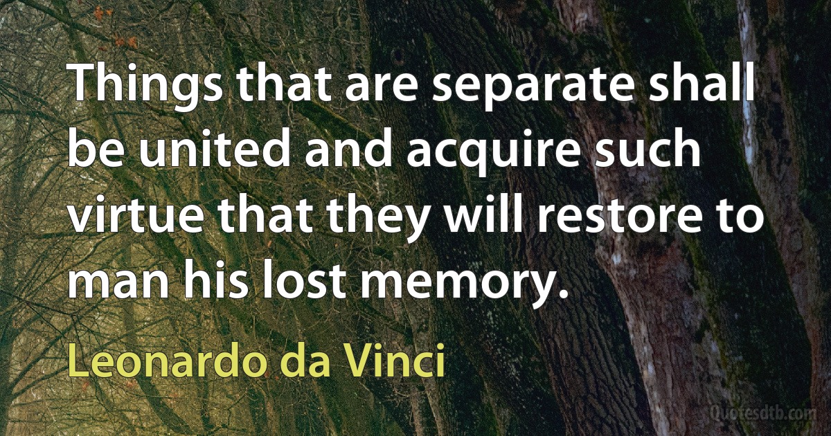 Things that are separate shall be united and acquire such virtue that they will restore to man his lost memory. (Leonardo da Vinci)