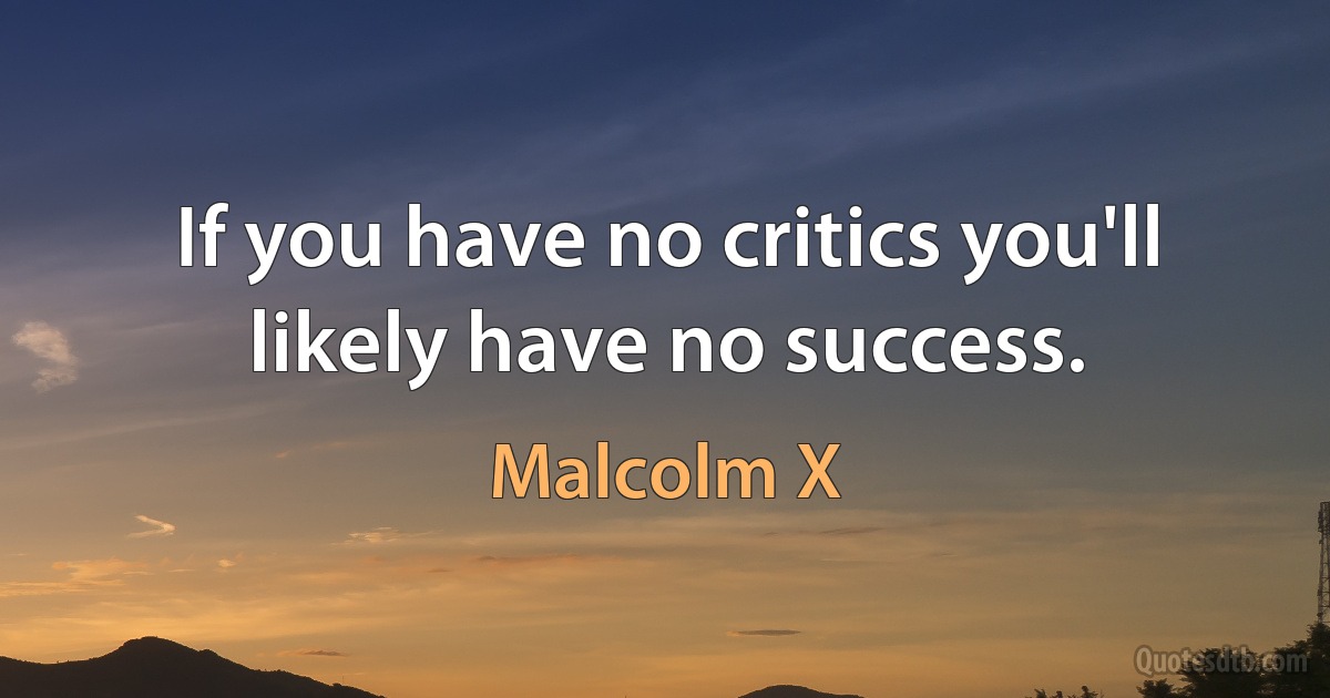 If you have no critics you'll likely have no success. (Malcolm X)