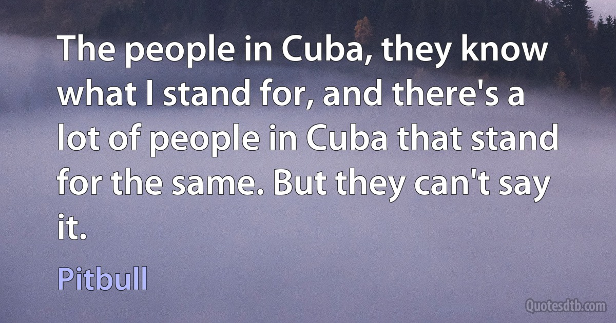 The people in Cuba, they know what I stand for, and there's a lot of people in Cuba that stand for the same. But they can't say it. (Pitbull)