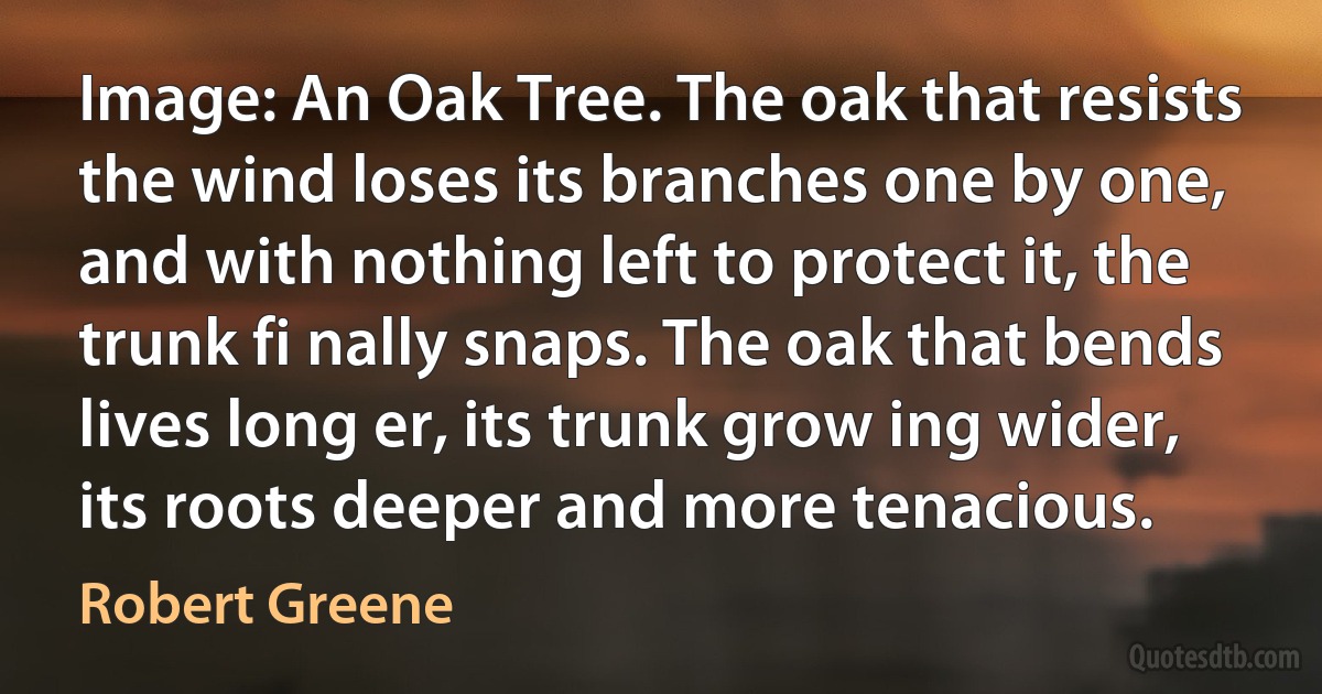 Image: An Oak Tree. The oak that resists the wind loses its branches one by one, and with nothing left to protect it, the trunk fi nally snaps. The oak that bends lives long er, its trunk grow ing wider, its roots deeper and more tenacious. (Robert Greene)