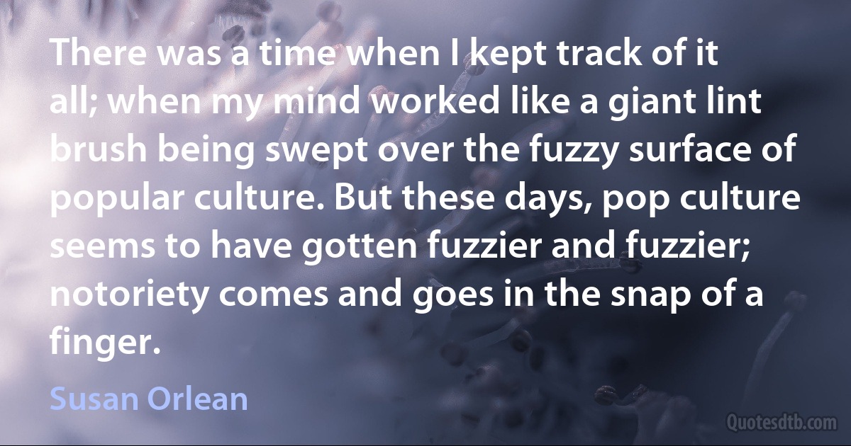 There was a time when I kept track of it all; when my mind worked like a giant lint brush being swept over the fuzzy surface of popular culture. But these days, pop culture seems to have gotten fuzzier and fuzzier; notoriety comes and goes in the snap of a finger. (Susan Orlean)