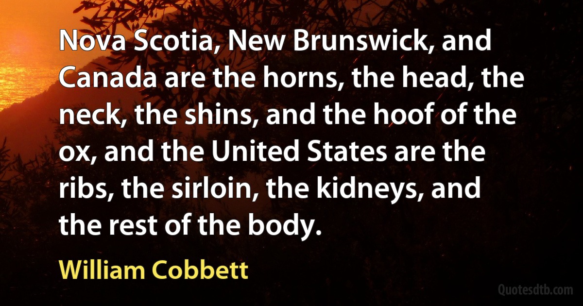 Nova Scotia, New Brunswick, and Canada are the horns, the head, the neck, the shins, and the hoof of the ox, and the United States are the ribs, the sirloin, the kidneys, and the rest of the body. (William Cobbett)