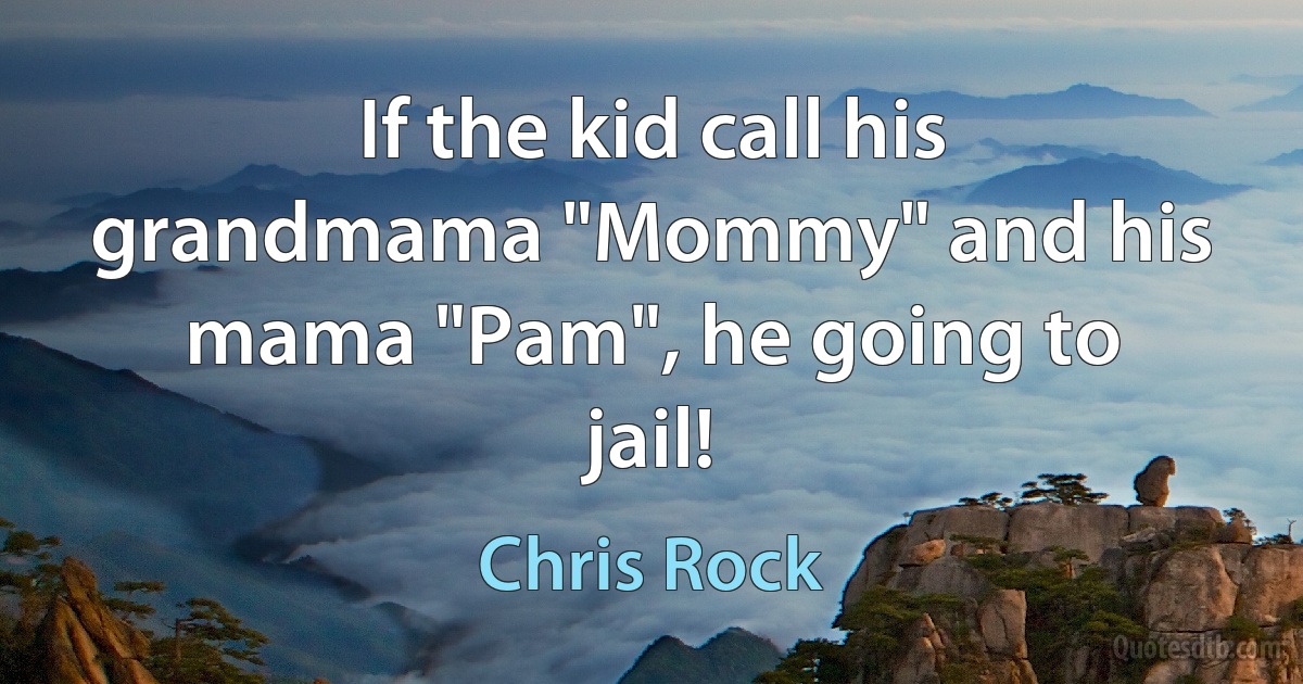 If the kid call his grandmama "Mommy" and his mama "Pam", he going to jail! (Chris Rock)