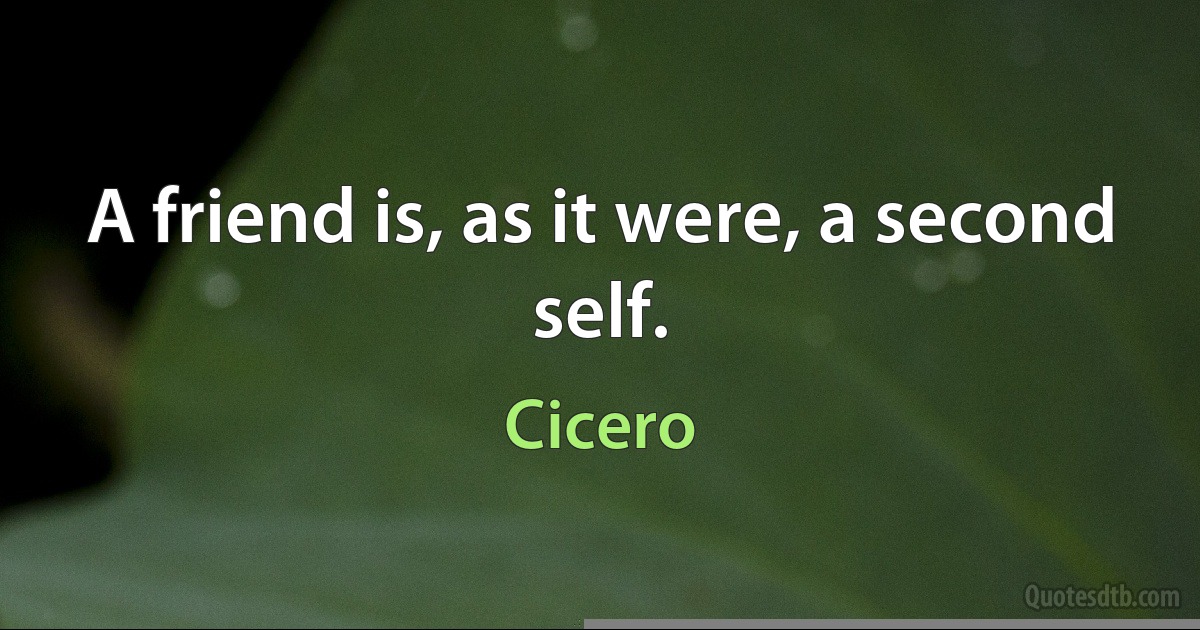 A friend is, as it were, a second self. (Cicero)