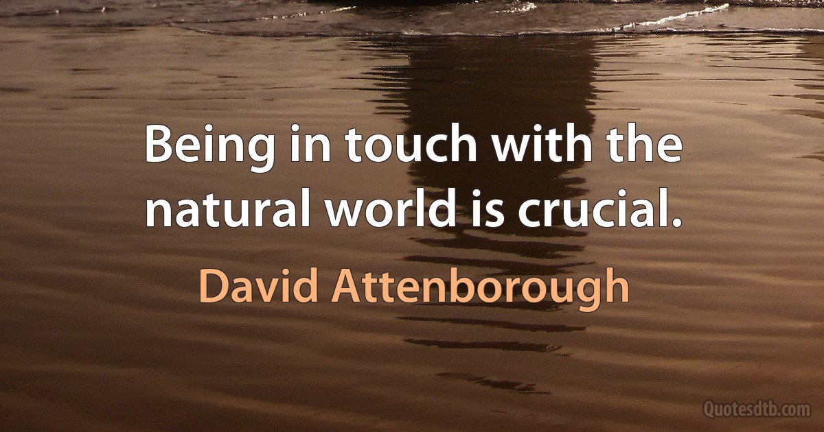 Being in touch with the natural world is crucial. (David Attenborough)