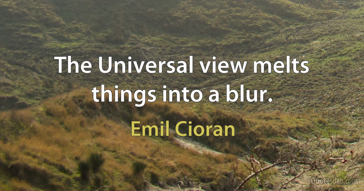 The Universal view melts things into a blur. (Emil Cioran)