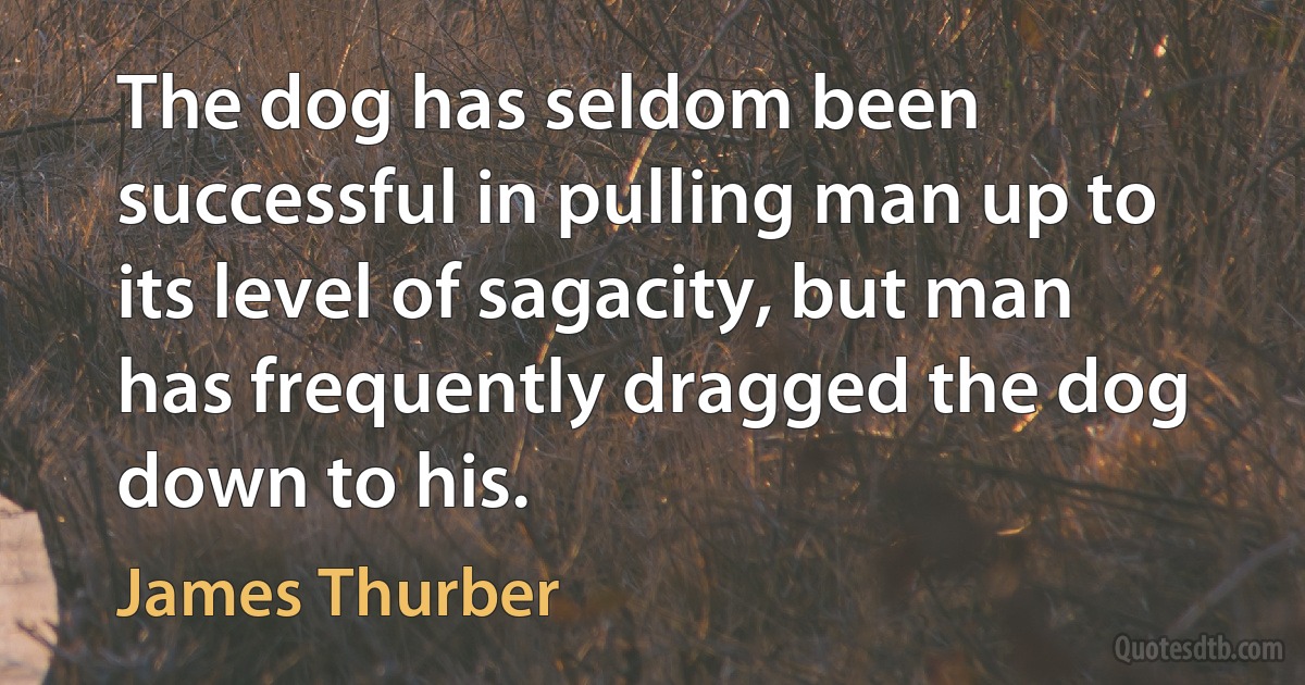 The dog has seldom been successful in pulling man up to its level of sagacity, but man has frequently dragged the dog down to his. (James Thurber)