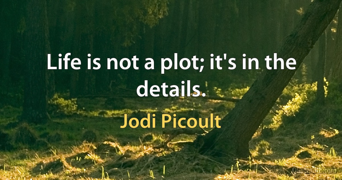 Life is not a plot; it's in the details. (Jodi Picoult)