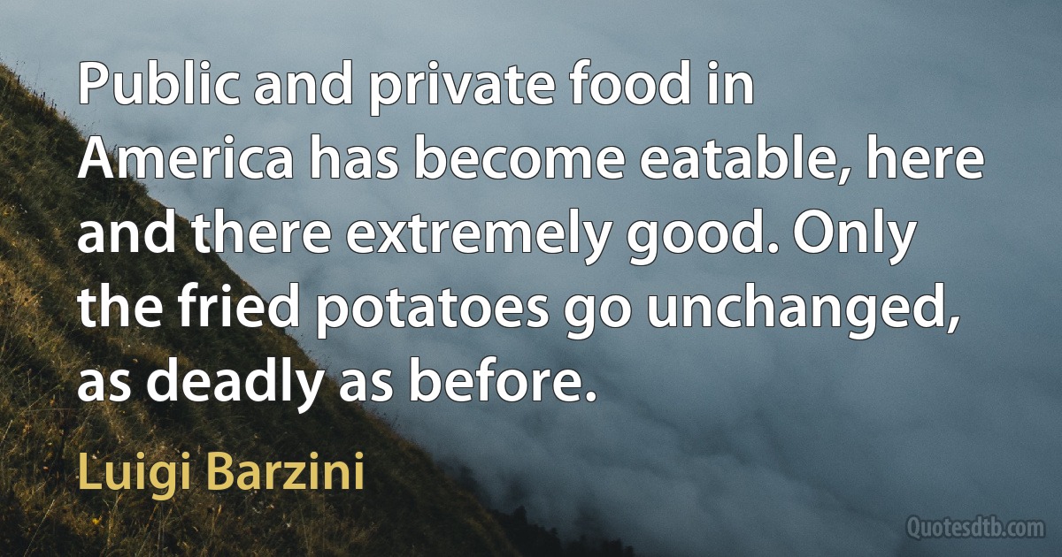 Public and private food in America has become eatable, here and there extremely good. Only the fried potatoes go unchanged, as deadly as before. (Luigi Barzini)