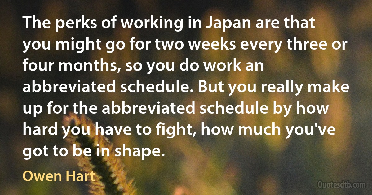 The perks of working in Japan are that you might go for two weeks every three or four months, so you do work an abbreviated schedule. But you really make up for the abbreviated schedule by how hard you have to fight, how much you've got to be in shape. (Owen Hart)