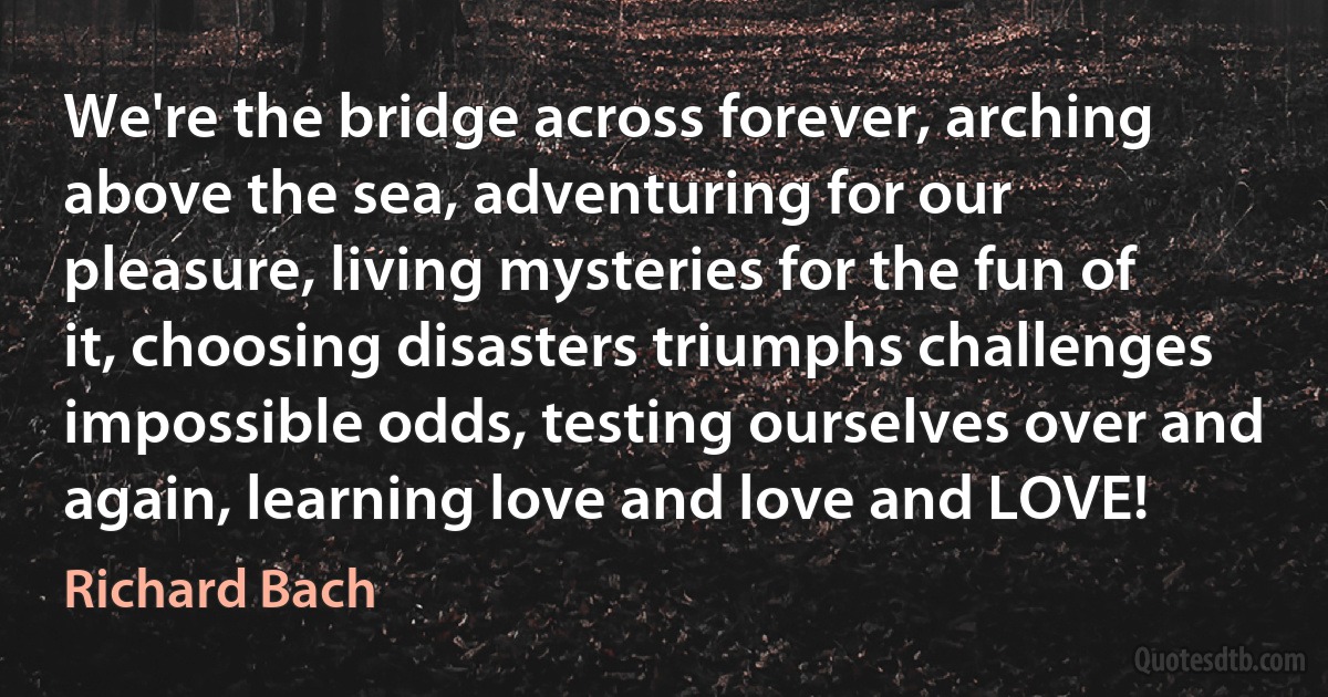 We're the bridge across forever, arching above the sea, adventuring for our pleasure, living mysteries for the fun of it, choosing disasters triumphs challenges impossible odds, testing ourselves over and again, learning love and love and LOVE! (Richard Bach)