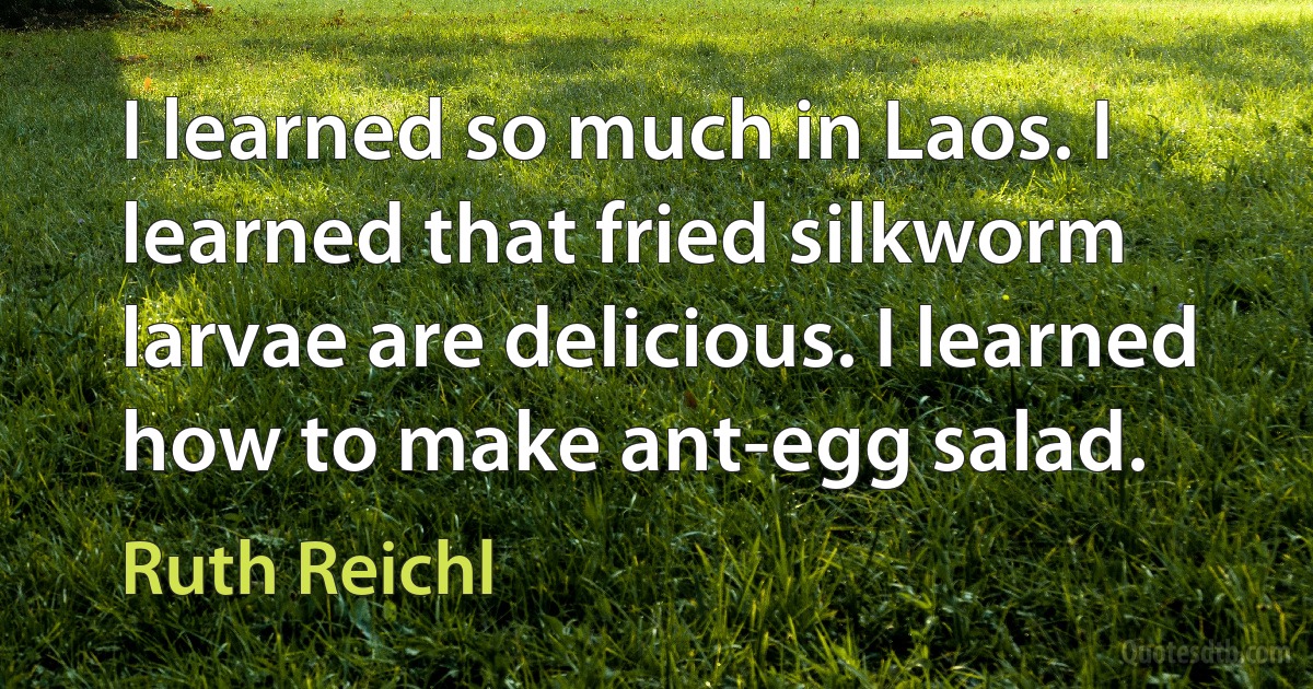 I learned so much in Laos. I learned that fried silkworm larvae are delicious. I learned how to make ant-egg salad. (Ruth Reichl)