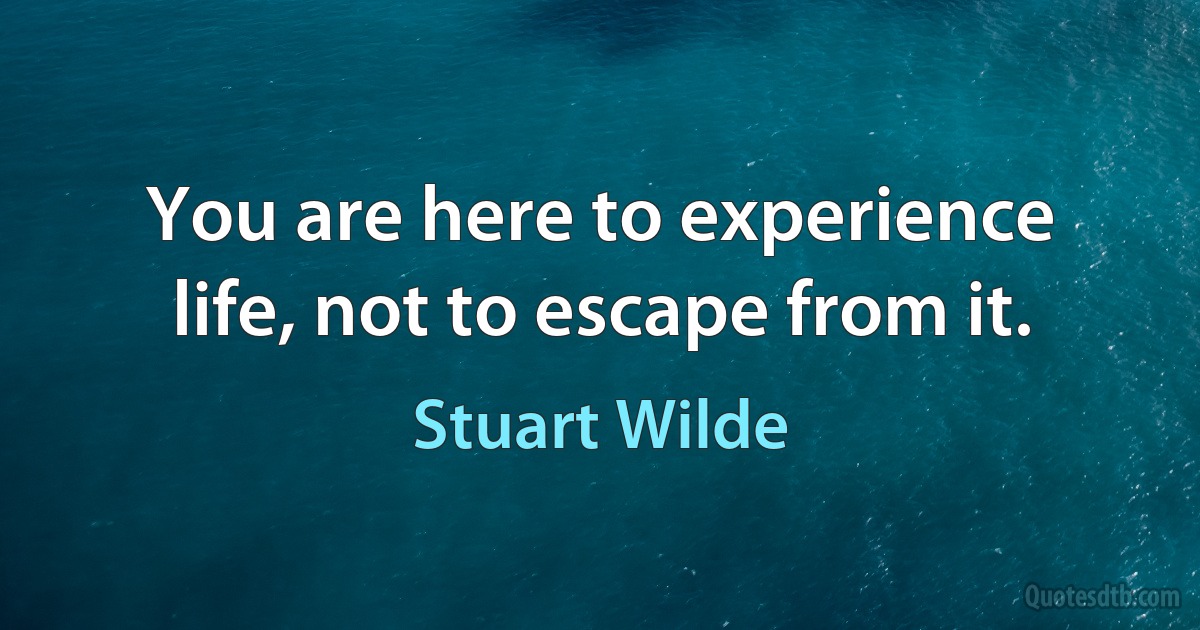 You are here to experience life, not to escape from it. (Stuart Wilde)