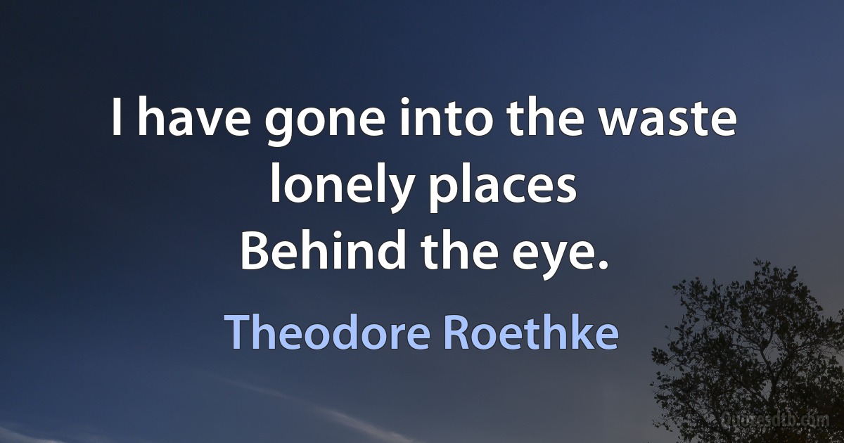 I have gone into the waste lonely places
Behind the eye. (Theodore Roethke)