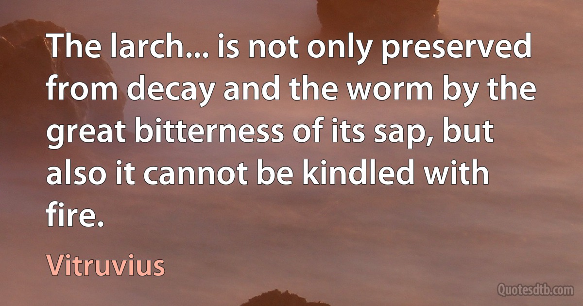 The larch... is not only preserved from decay and the worm by the great bitterness of its sap, but also it cannot be kindled with fire. (Vitruvius)