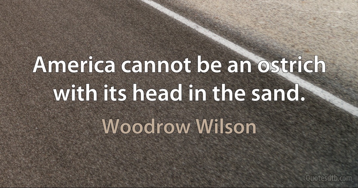 America cannot be an ostrich with its head in the sand. (Woodrow Wilson)