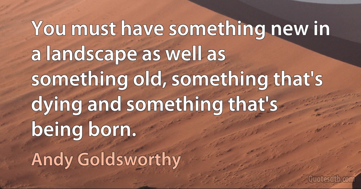 You must have something new in a landscape as well as something old, something that's dying and something that's being born. (Andy Goldsworthy)