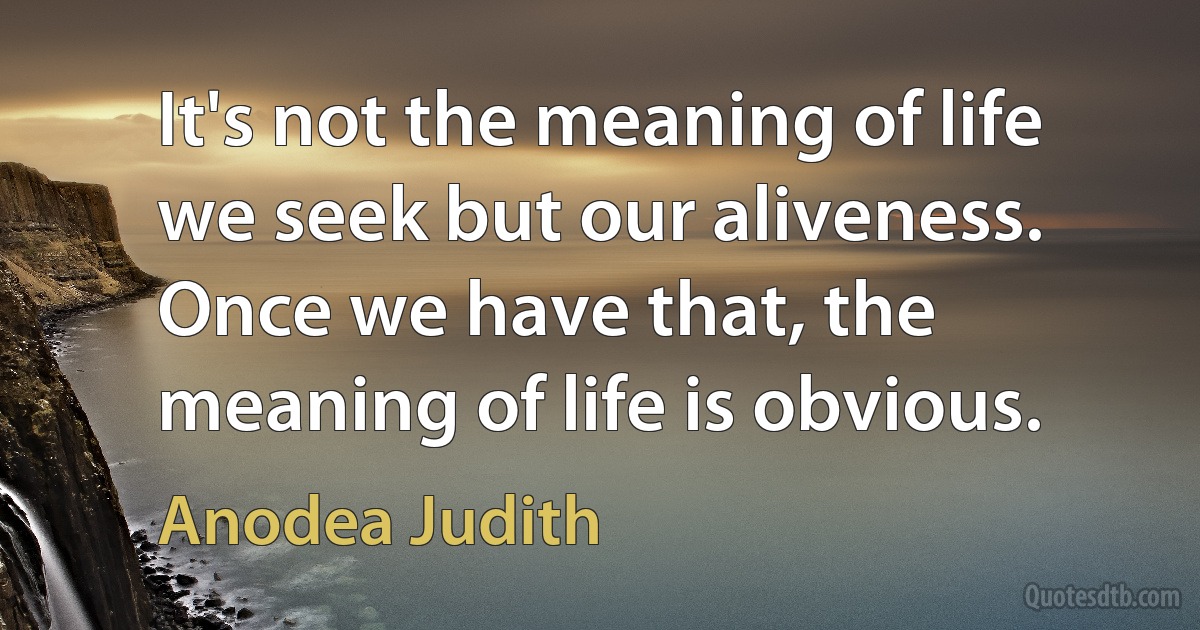 It's not the meaning of life we seek but our aliveness. Once we have that, the meaning of life is obvious. (Anodea Judith)