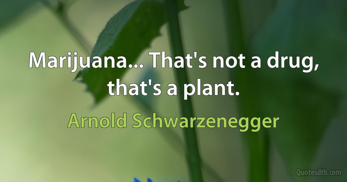 Marijuana... That's not a drug, that's a plant. (Arnold Schwarzenegger)