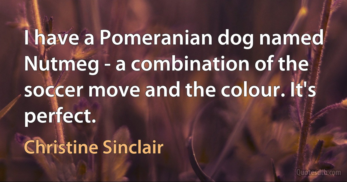 I have a Pomeranian dog named Nutmeg - a combination of the soccer move and the colour. It's perfect. (Christine Sinclair)