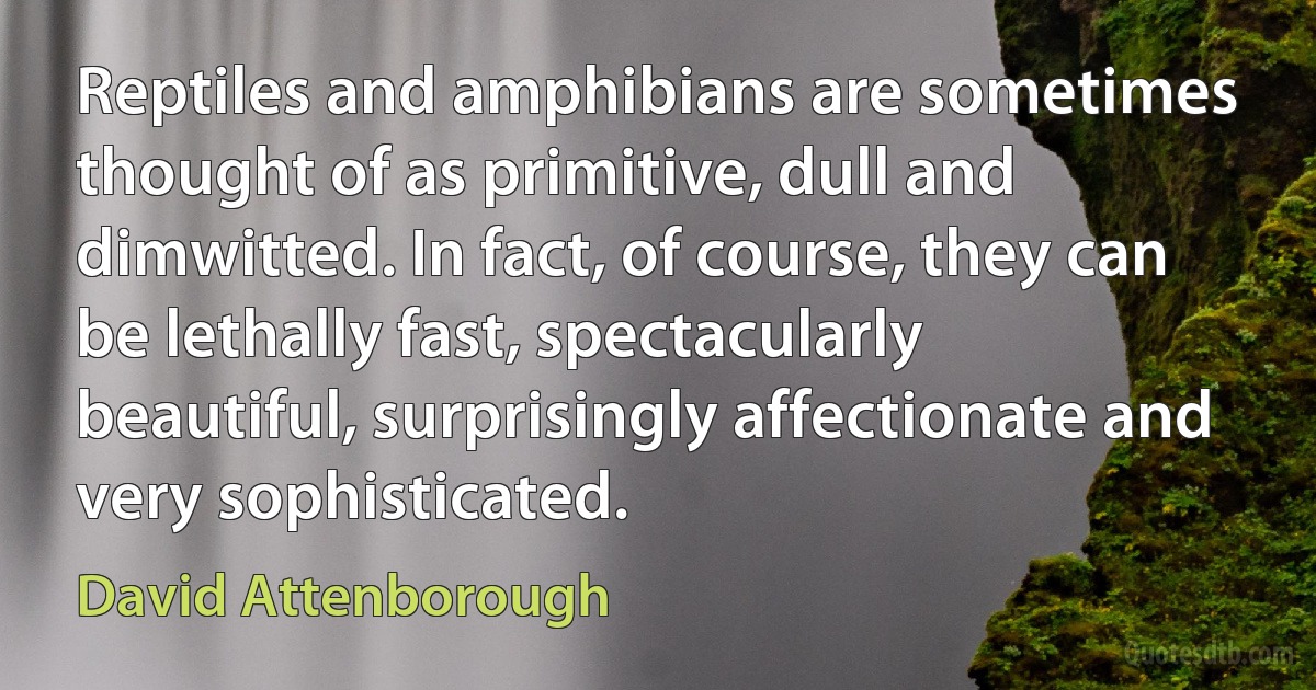 Reptiles and amphibians are sometimes thought of as primitive, dull and dimwitted. In fact, of course, they can be lethally fast, spectacularly beautiful, surprisingly affectionate and very sophisticated. (David Attenborough)