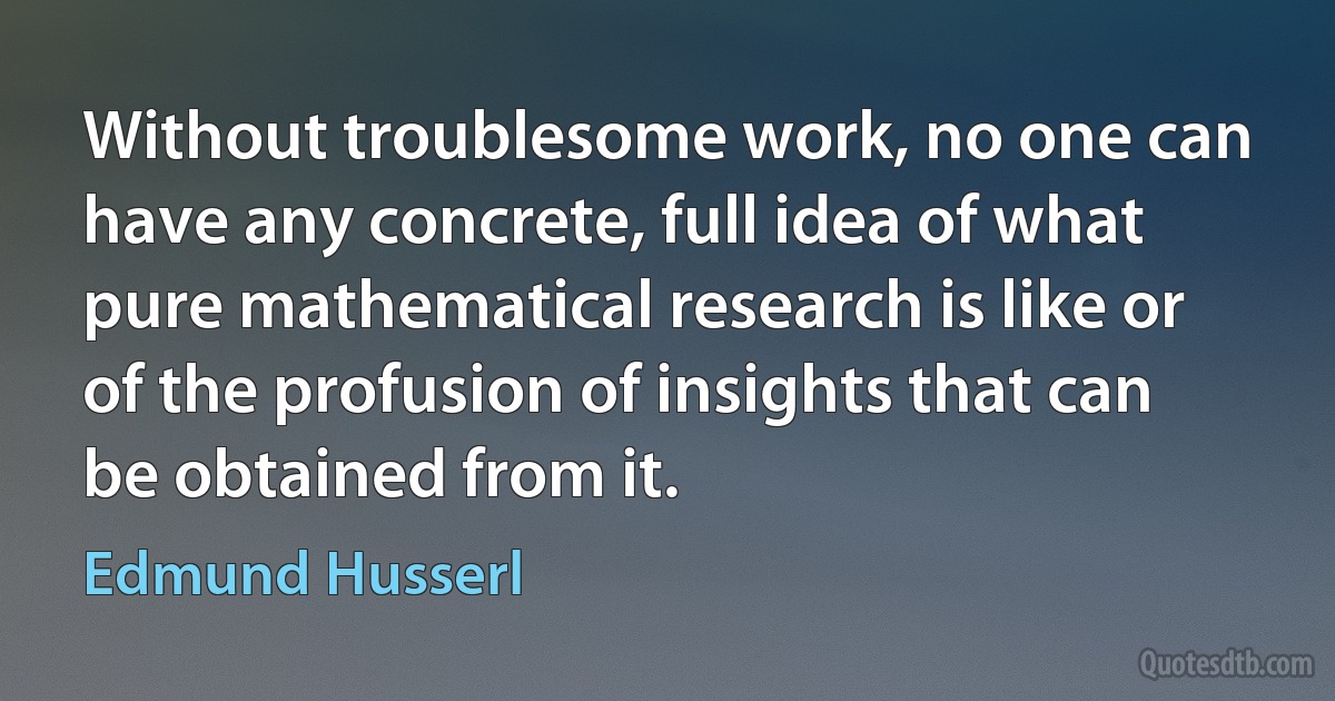 Without troublesome work, no one can have any concrete, full idea of what pure mathematical research is like or of the profusion of insights that can be obtained from it. (Edmund Husserl)