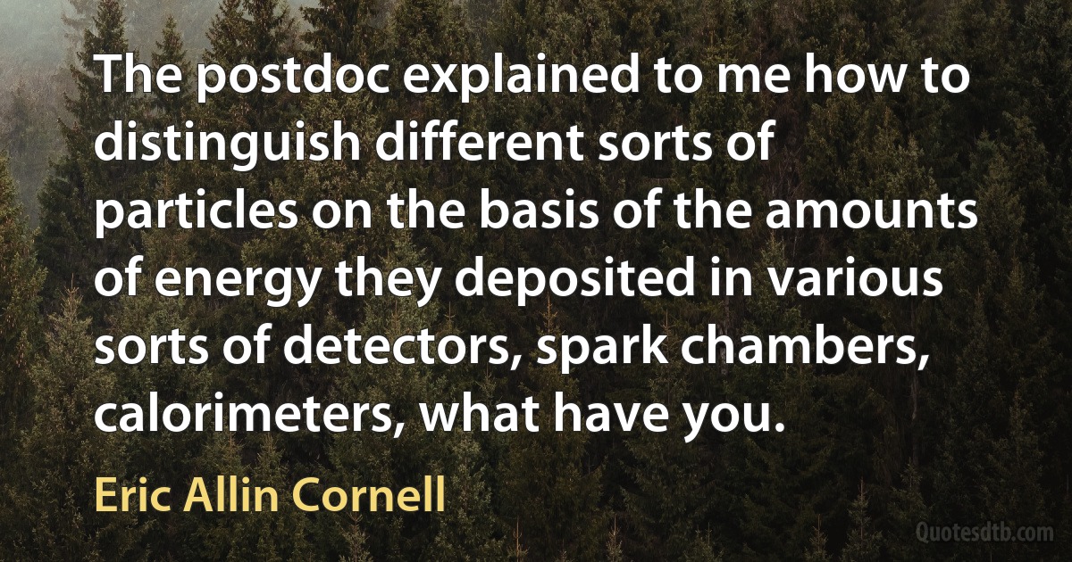 The postdoc explained to me how to distinguish different sorts of particles on the basis of the amounts of energy they deposited in various sorts of detectors, spark chambers, calorimeters, what have you. (Eric Allin Cornell)