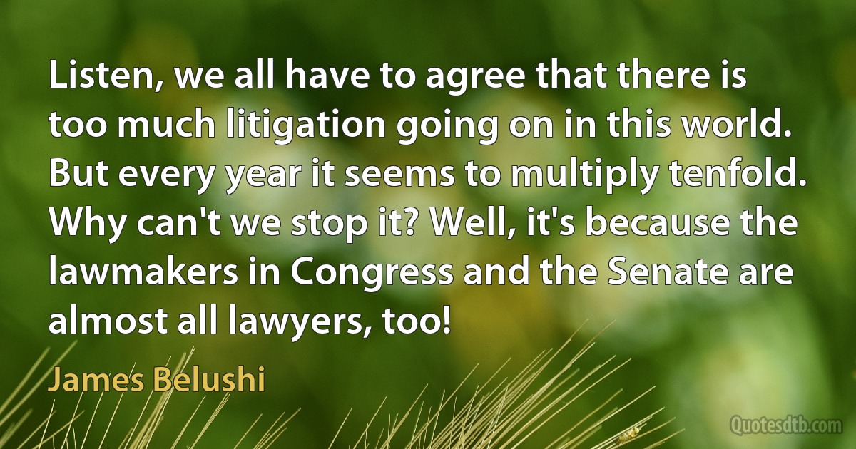 Listen, we all have to agree that there is too much litigation going on in this world. But every year it seems to multiply tenfold. Why can't we stop it? Well, it's because the lawmakers in Congress and the Senate are almost all lawyers, too! (James Belushi)