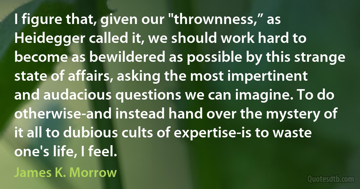 I figure that, given our "thrownness,” as Heidegger called it, we should work hard to become as bewildered as possible by this strange state of affairs, asking the most impertinent and audacious questions we can imagine. To do otherwise-and instead hand over the mystery of it all to dubious cults of expertise-is to waste one's life, I feel. (James K. Morrow)