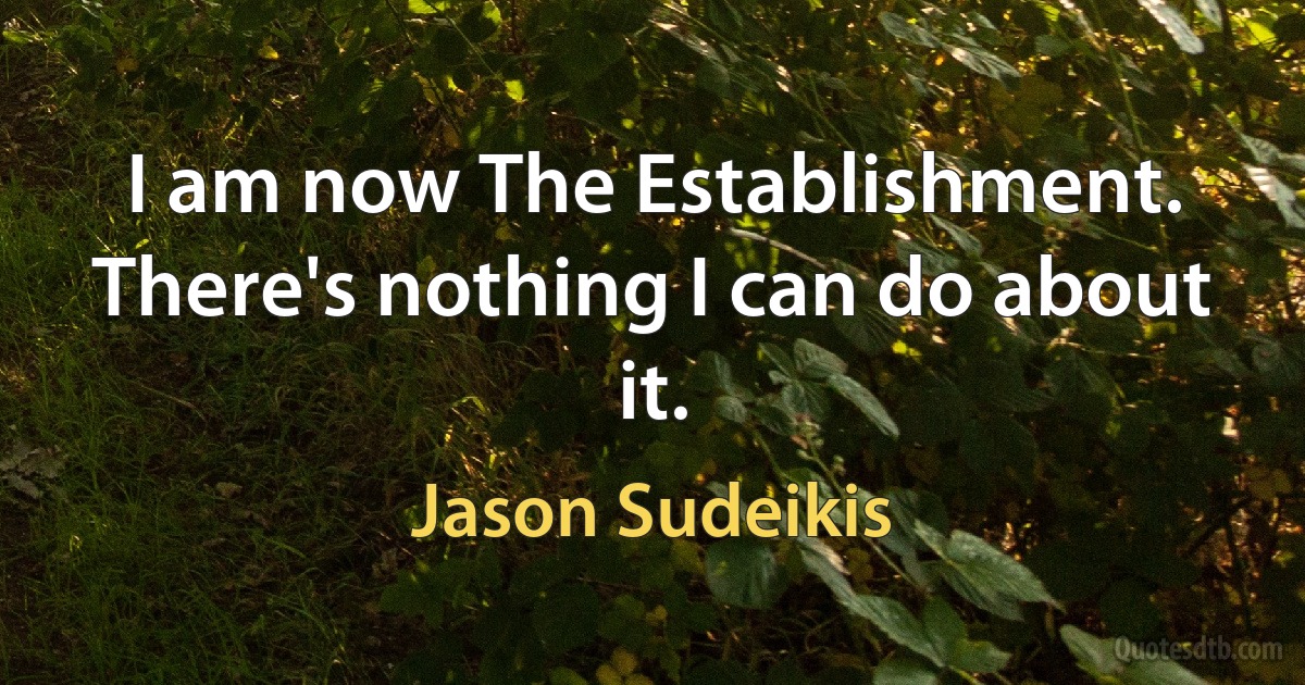 I am now The Establishment. There's nothing I can do about it. (Jason Sudeikis)