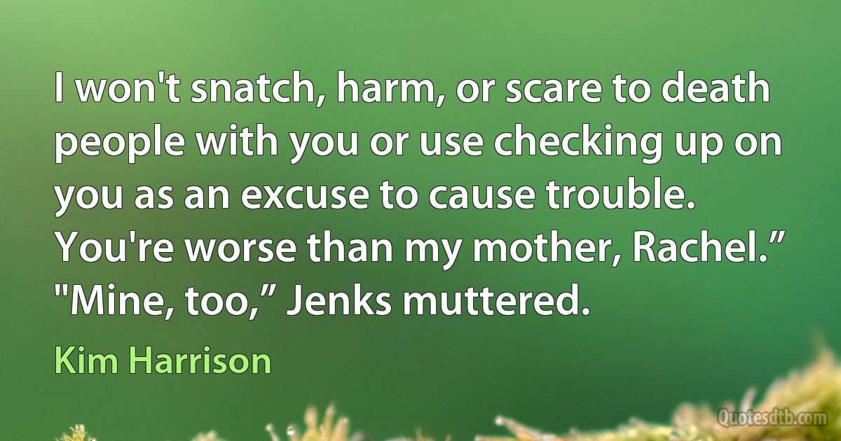 I won't snatch, harm, or scare to death people with you or use checking up on you as an excuse to cause trouble. You're worse than my mother, Rachel.”
"Mine, too,” Jenks muttered. (Kim Harrison)