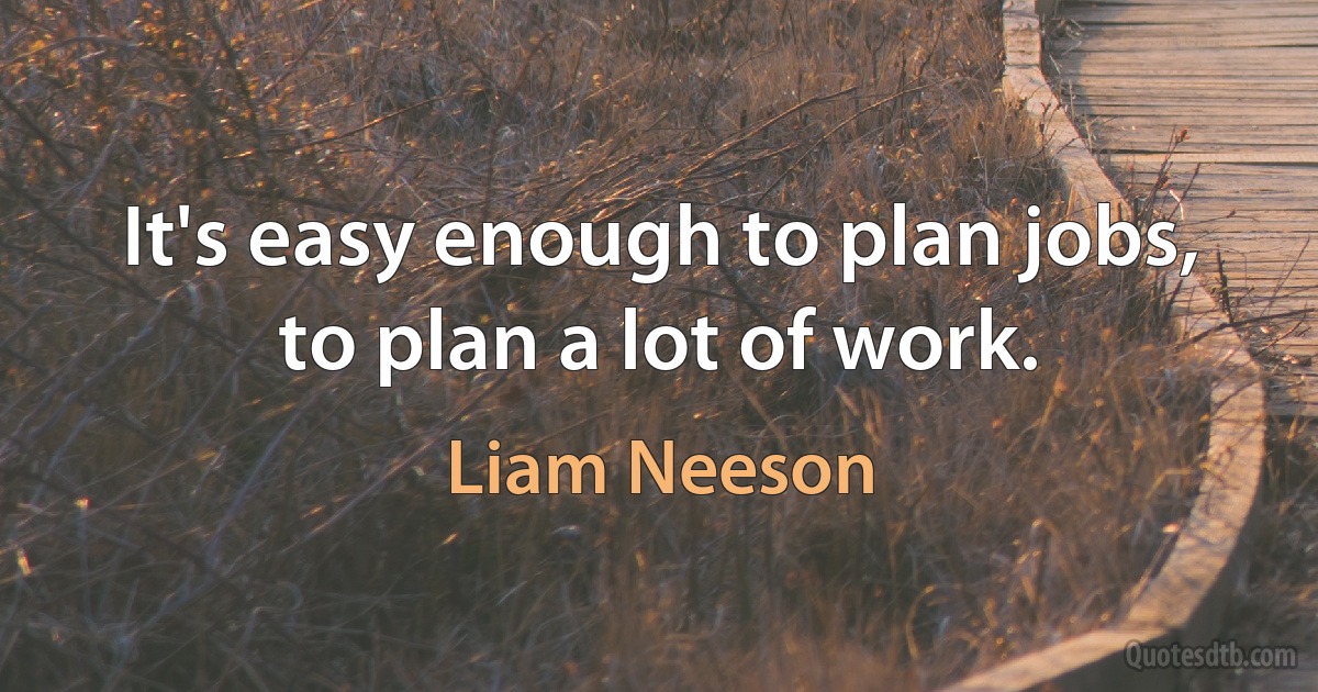 It's easy enough to plan jobs, to plan a lot of work. (Liam Neeson)