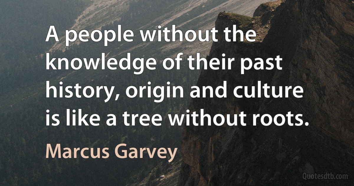 A people without the knowledge of their past history, origin and culture is like a tree without roots. (Marcus Garvey)