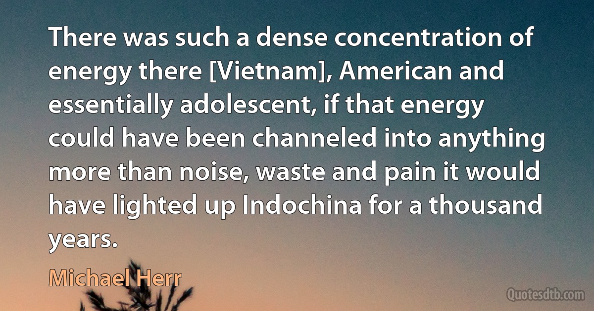 There was such a dense concentration of energy there [Vietnam], American and essentially adolescent, if that energy could have been channeled into anything more than noise, waste and pain it would have lighted up Indochina for a thousand years. (Michael Herr)