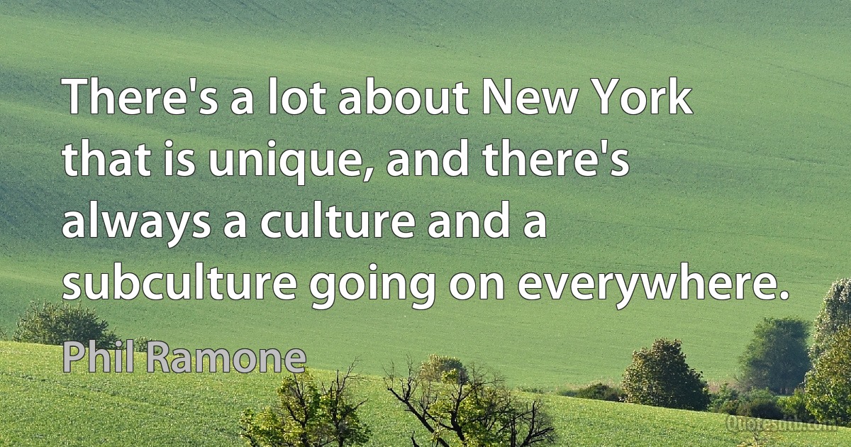 There's a lot about New York that is unique, and there's always a culture and a subculture going on everywhere. (Phil Ramone)