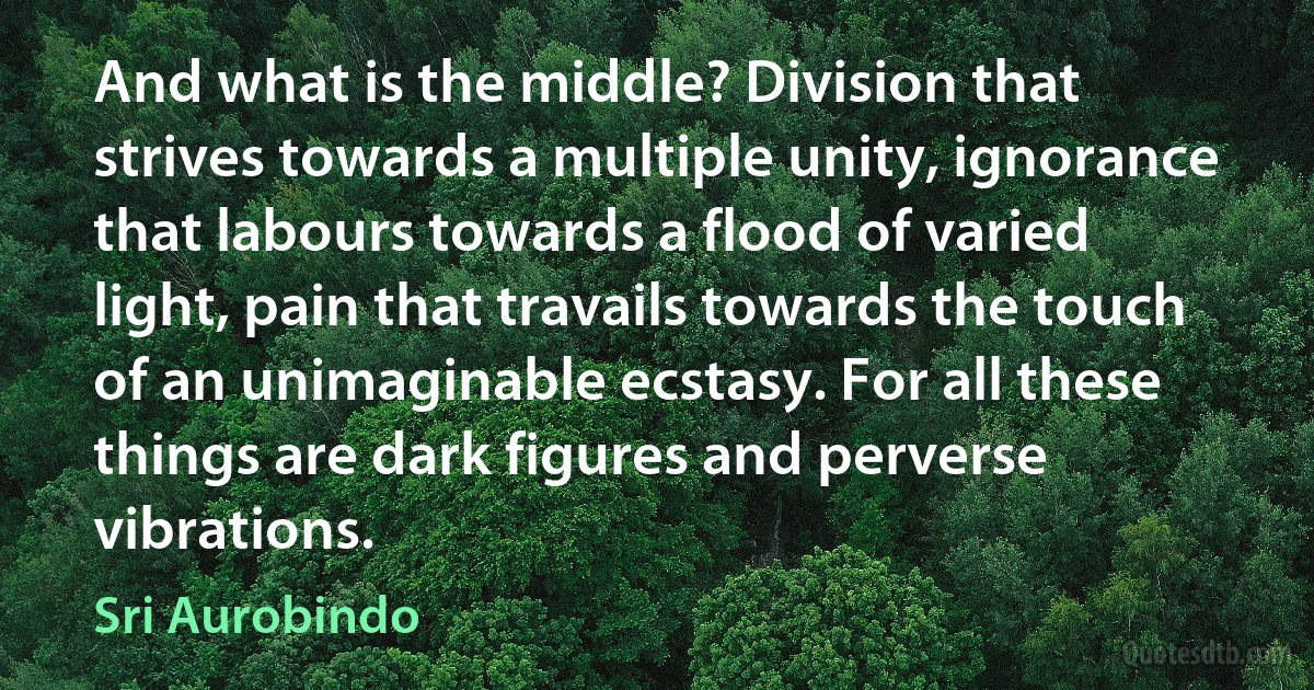 And what is the middle? Division that strives towards a multiple unity, ignorance that labours towards a flood of varied light, pain that travails towards the touch of an unimaginable ecstasy. For all these things are dark figures and perverse vibrations. (Sri Aurobindo)