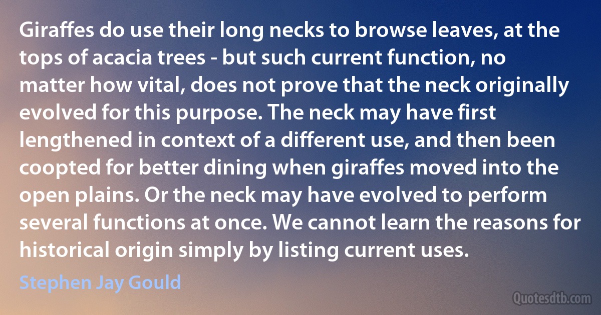 Giraffes do use their long necks to browse leaves, at the tops of acacia trees - but such current function, no matter how vital, does not prove that the neck originally evolved for this purpose. The neck may have first lengthened in context of a different use, and then been coopted for better dining when giraffes moved into the open plains. Or the neck may have evolved to perform several functions at once. We cannot learn the reasons for historical origin simply by listing current uses. (Stephen Jay Gould)