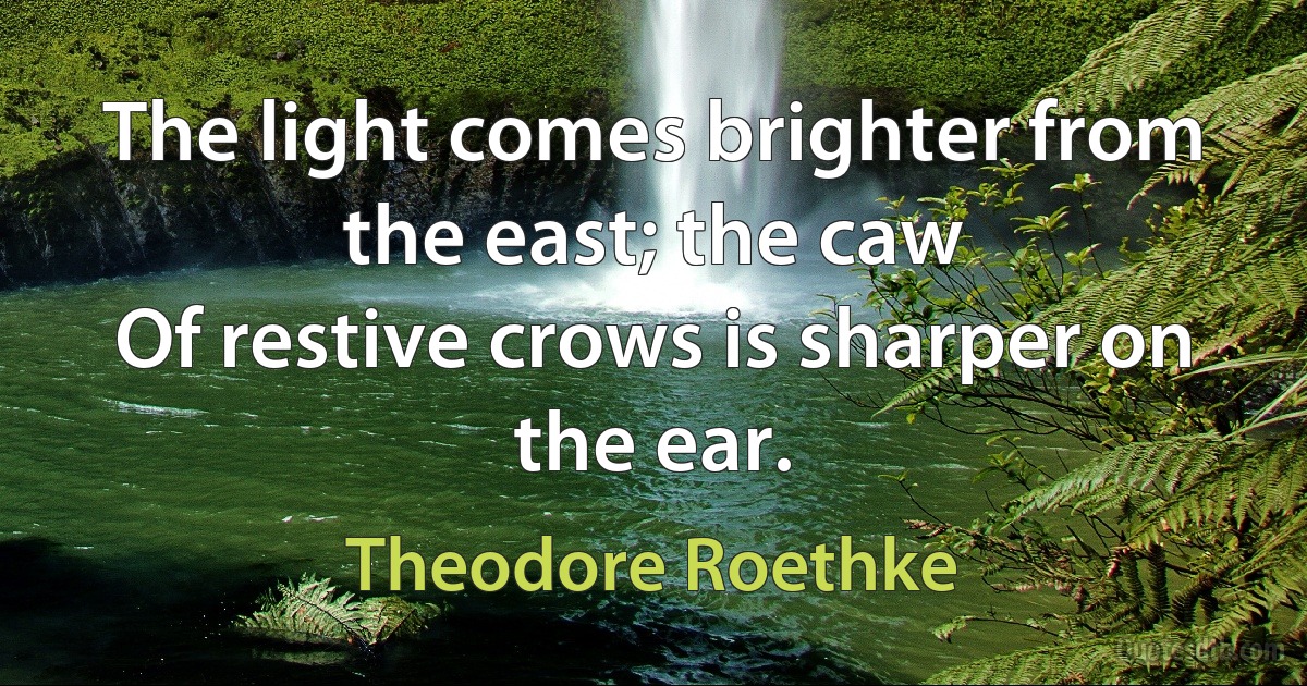 The light comes brighter from the east; the caw
Of restive crows is sharper on the ear. (Theodore Roethke)