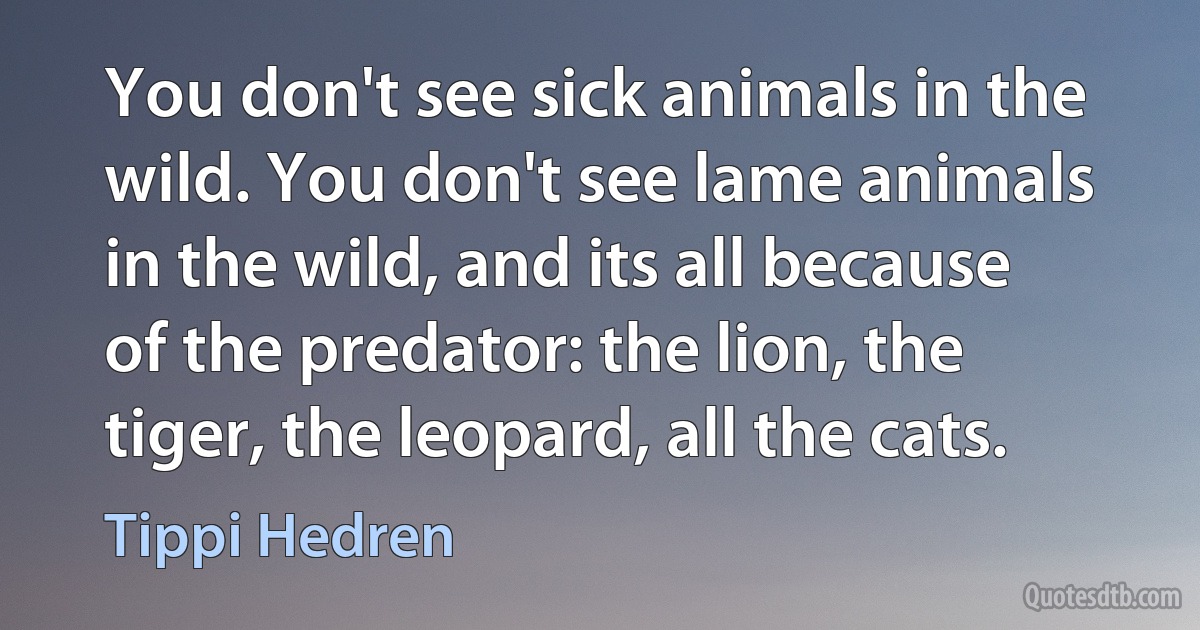 You don't see sick animals in the wild. You don't see lame animals in the wild, and its all because of the predator: the lion, the tiger, the leopard, all the cats. (Tippi Hedren)