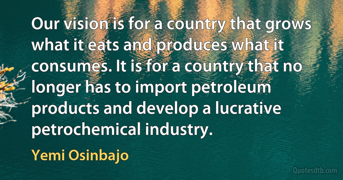 Our vision is for a country that grows what it eats and produces what it consumes. It is for a country that no longer has to import petroleum products and develop a lucrative petrochemical industry. (Yemi Osinbajo)