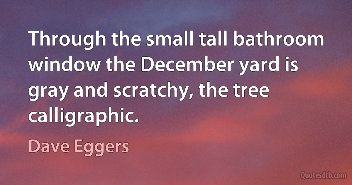 Through the small tall bathroom window the December yard is gray and scratchy, the tree calligraphic. (Dave Eggers)