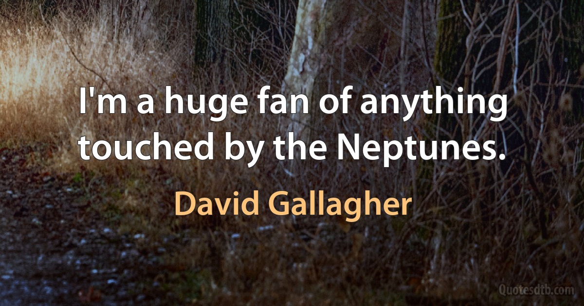 I'm a huge fan of anything touched by the Neptunes. (David Gallagher)