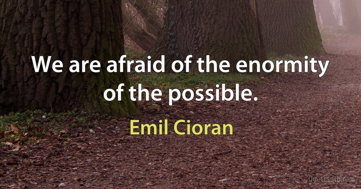 We are afraid of the enormity of the possible. (Emil Cioran)