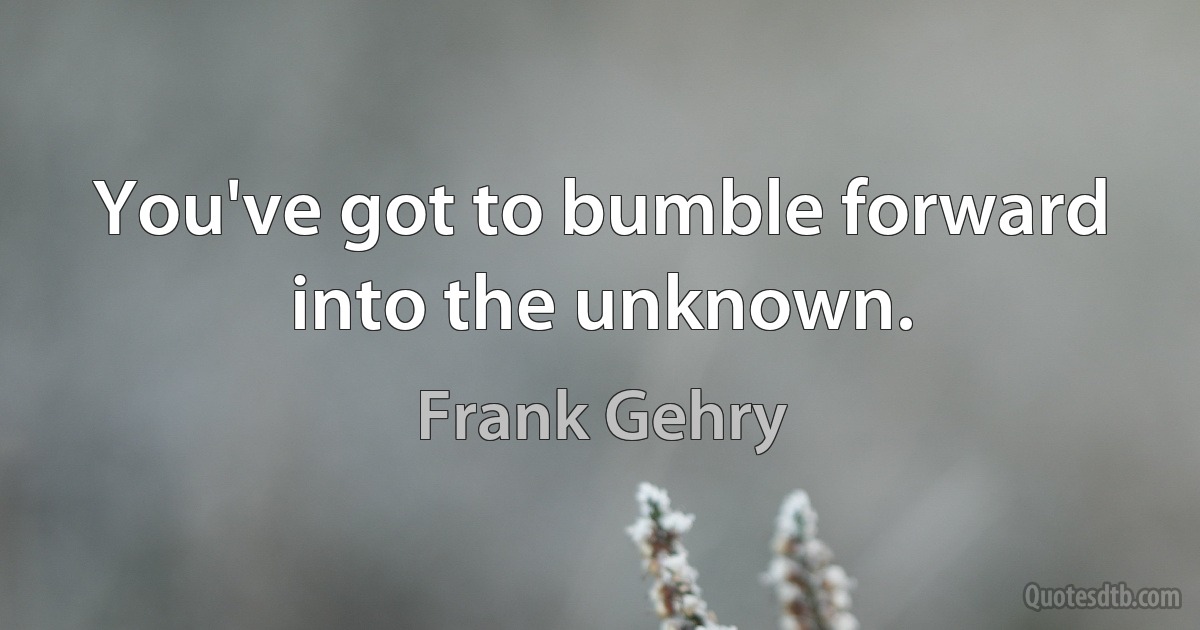 You've got to bumble forward into the unknown. (Frank Gehry)