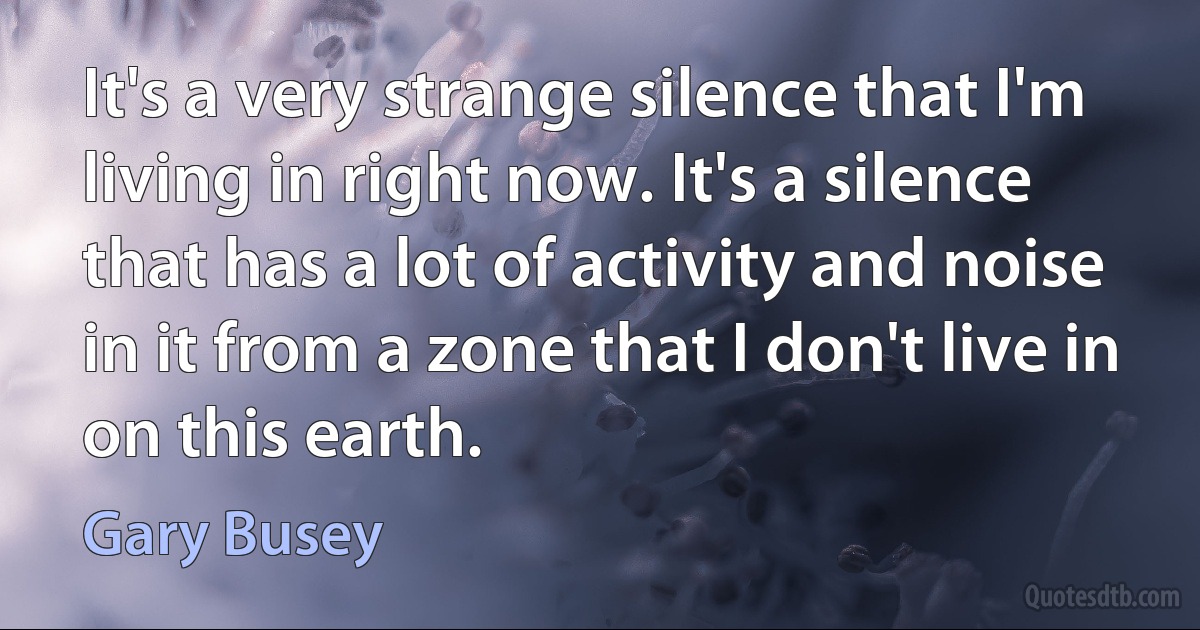 It's a very strange silence that I'm living in right now. It's a silence that has a lot of activity and noise in it from a zone that I don't live in on this earth. (Gary Busey)