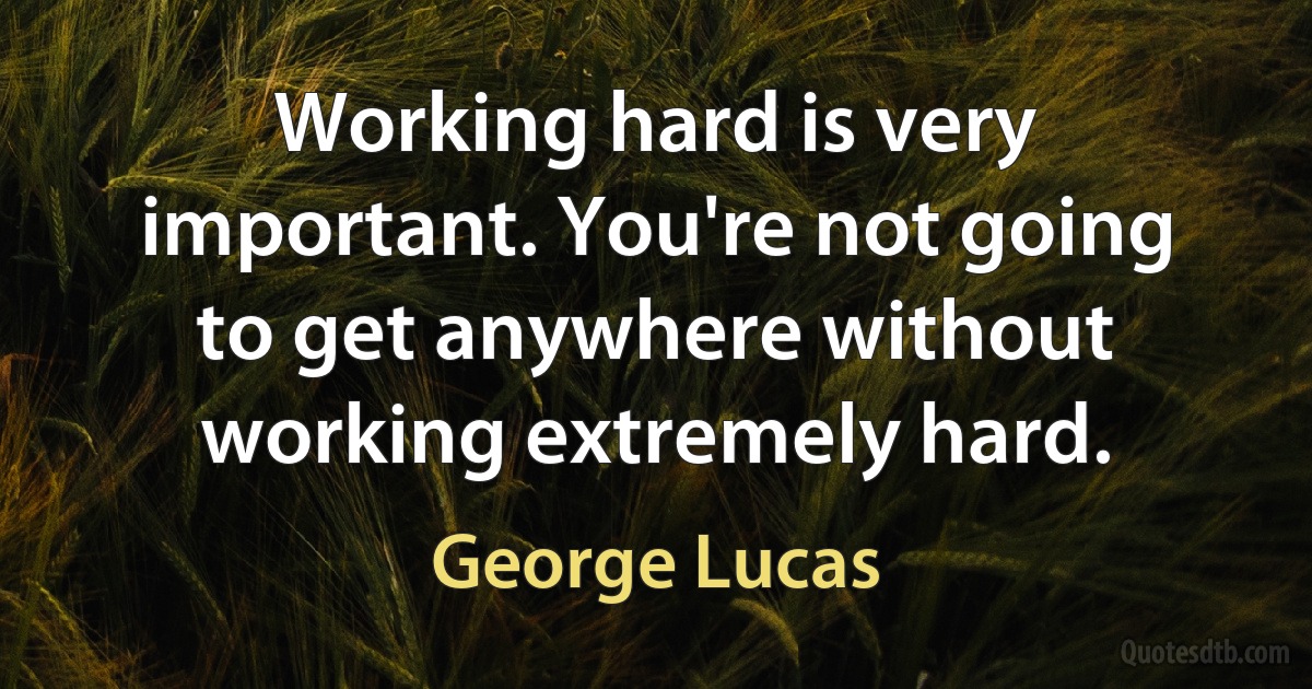 Working hard is very important. You're not going to get anywhere without working extremely hard. (George Lucas)