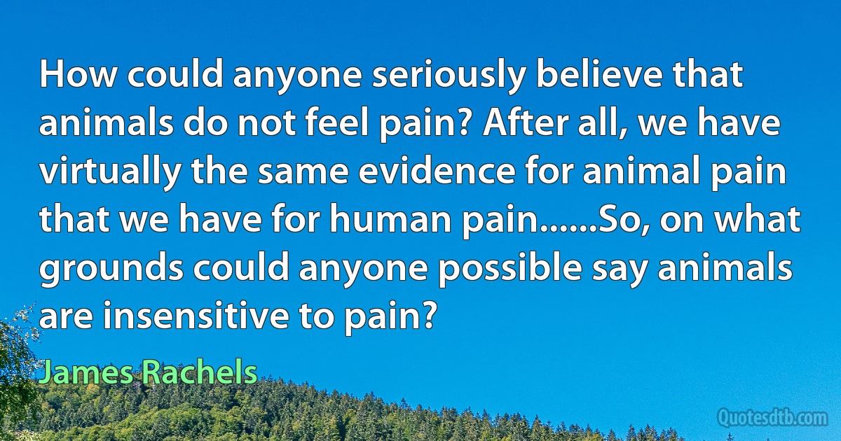 How could anyone seriously believe that animals do not feel pain? After all, we have virtually the same evidence for animal pain that we have for human pain......So, on what grounds could anyone possible say animals are insensitive to pain? (James Rachels)