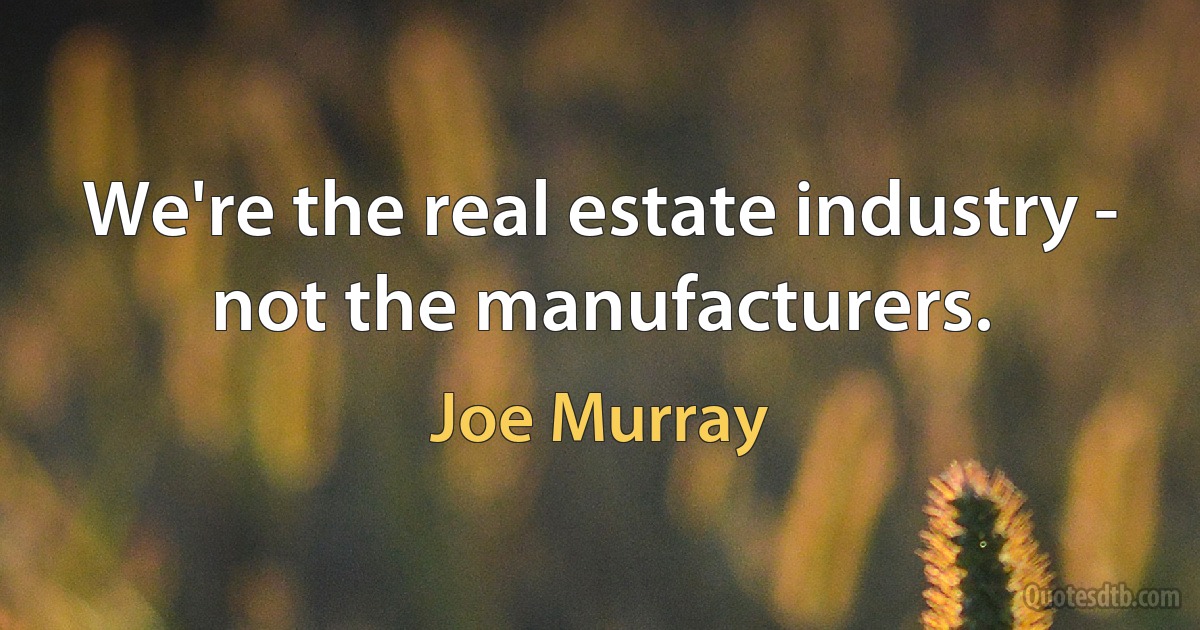 We're the real estate industry - not the manufacturers. (Joe Murray)