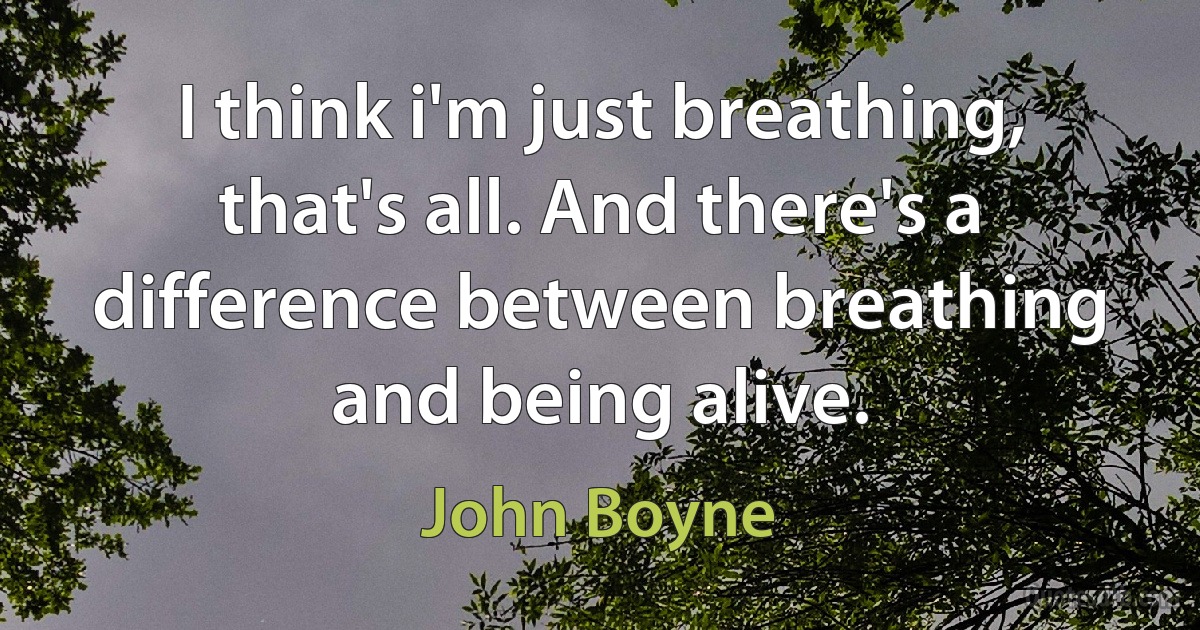 I think i'm just breathing, that's all. And there's a difference between breathing and being alive. (John Boyne)