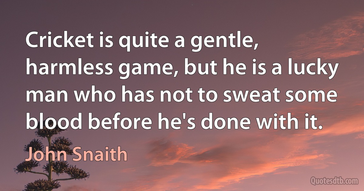 Cricket is quite a gentle, harmless game, but he is a lucky man who has not to sweat some blood before he's done with it. (John Snaith)